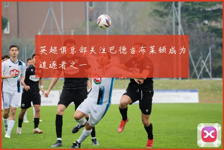 英超俱乐部关注巴德吉布莱顿成为追逐者之一