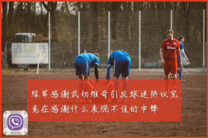 绿军感谢武切维奇引发球迷热议究竟在感谢什么表现不佳的中锋